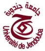 Université de Jendouba
